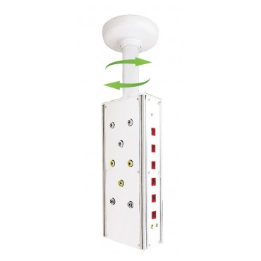 Tavandan Asma Yoğun ...