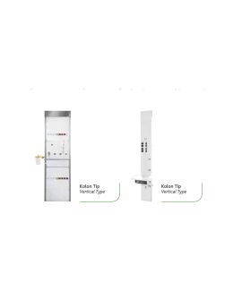 Colon Type Intensive...